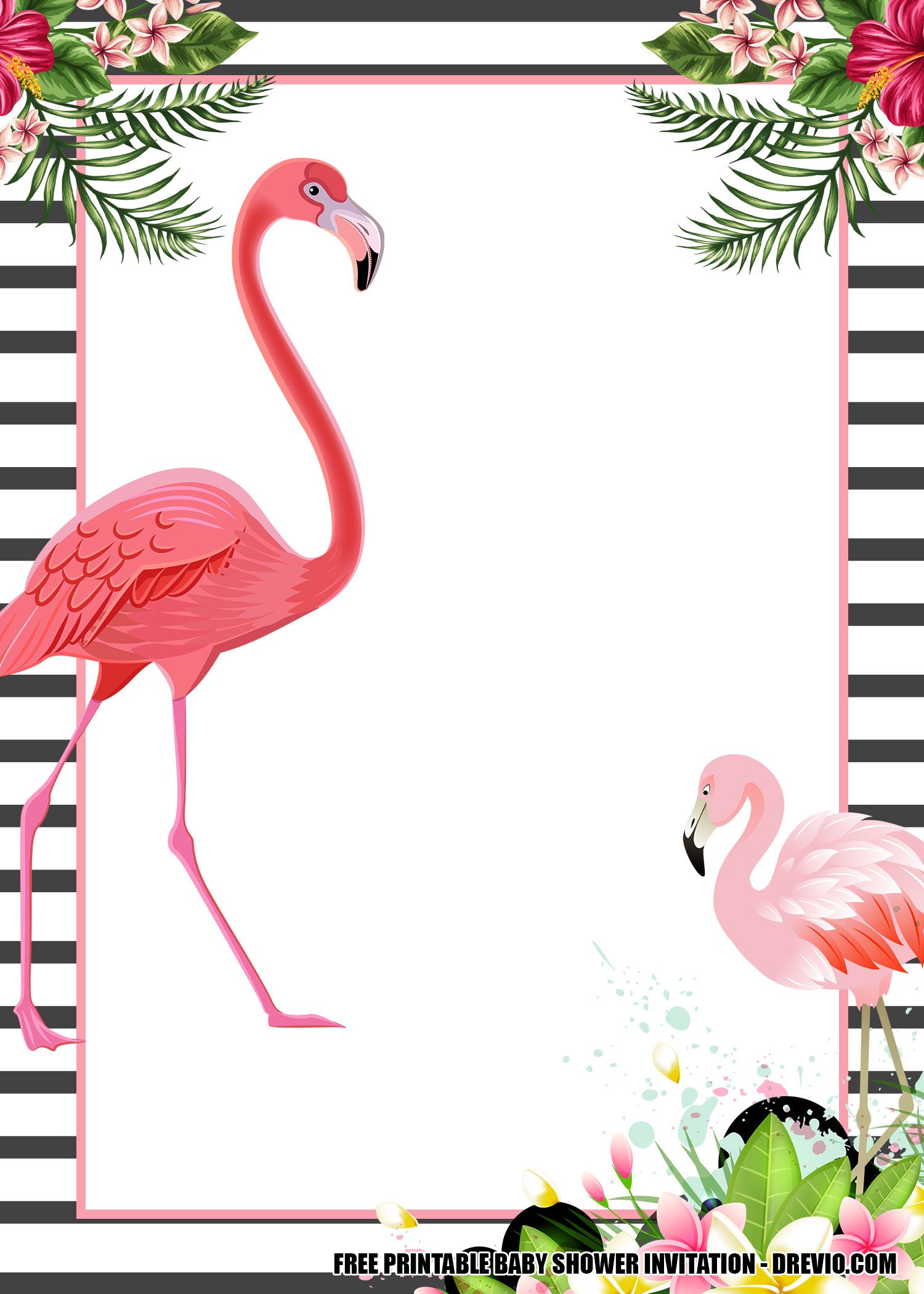 Detail Free Flamingo Pictures Nomer 54