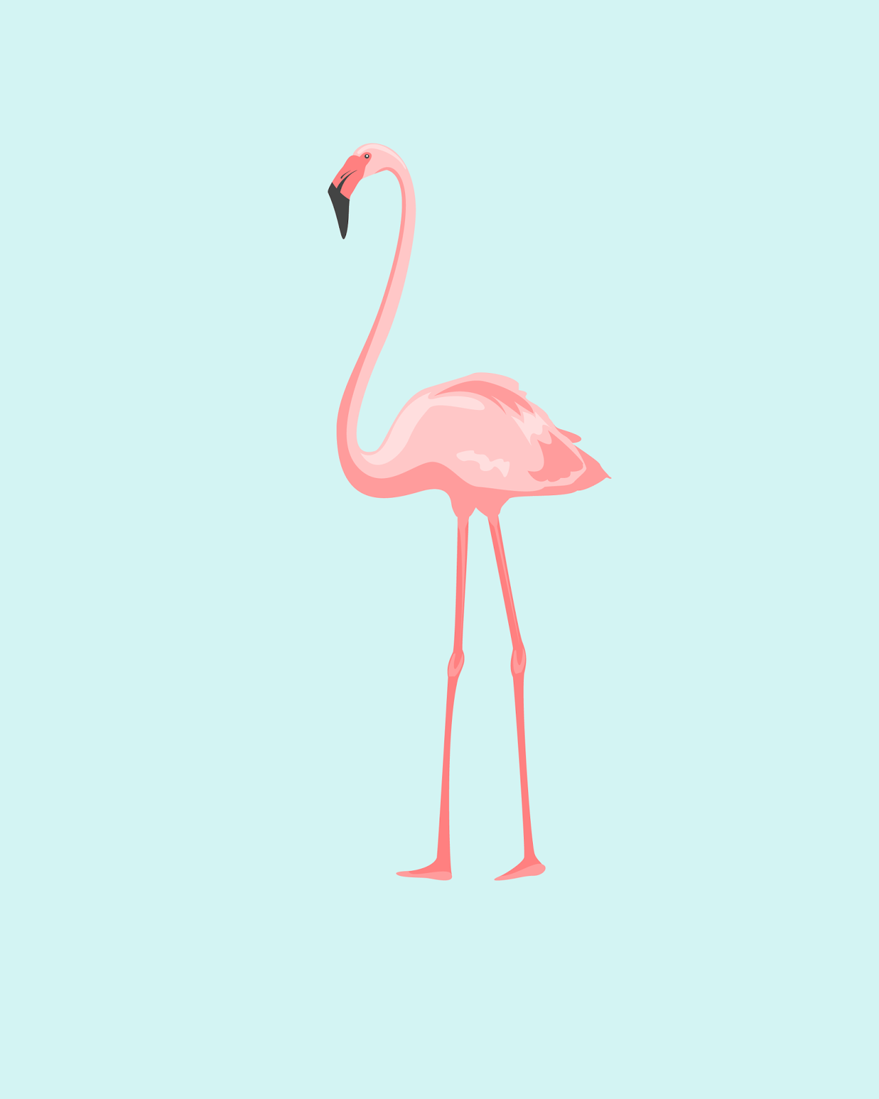 Detail Free Flamingo Pictures Nomer 7