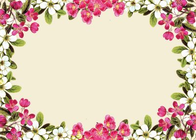 Detail Free Floral Frames Nomer 14