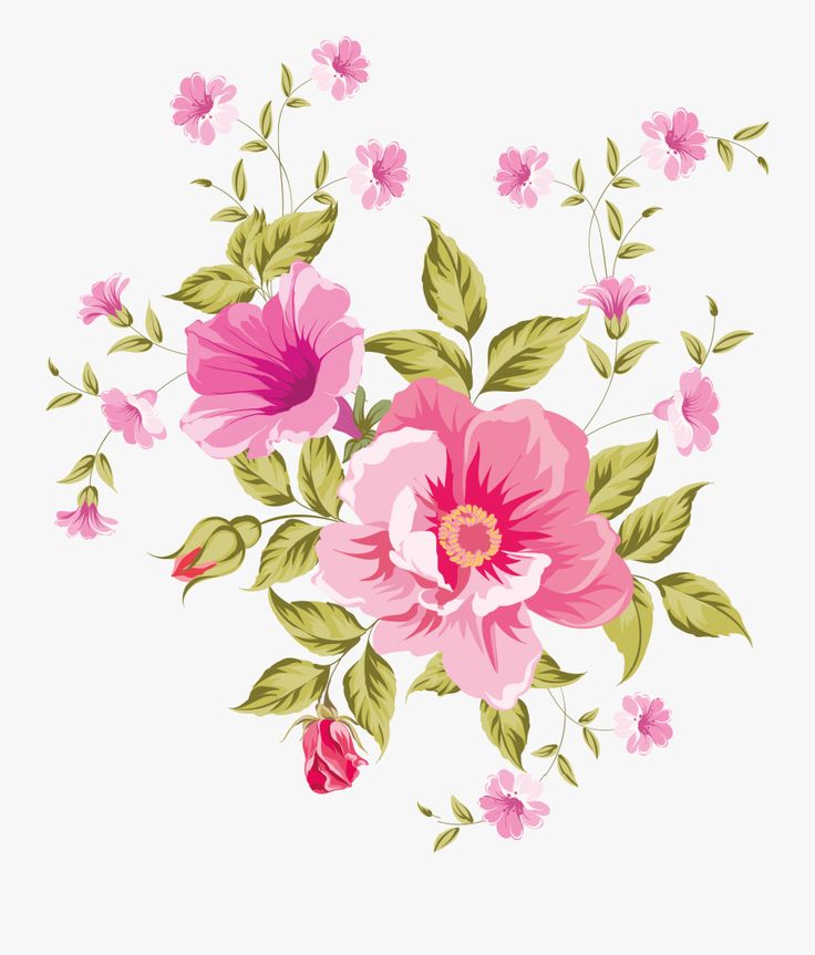 Detail Free Flower Clipart Transparent Background Nomer 18