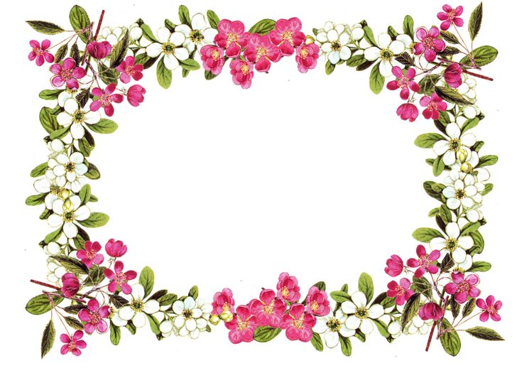 Detail Free Flower Frame Nomer 6