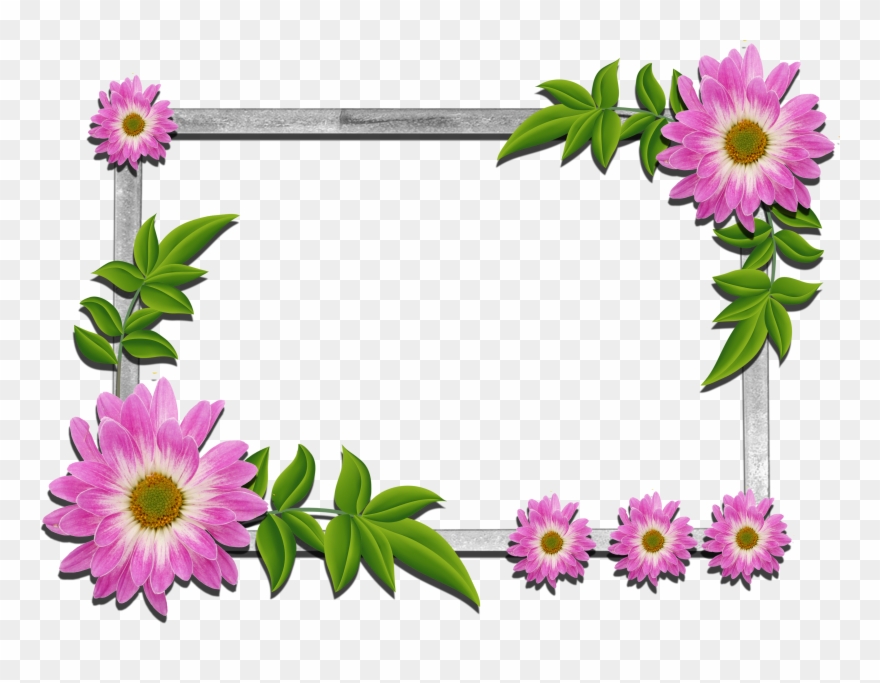 Detail Free Flower Frames Nomer 13