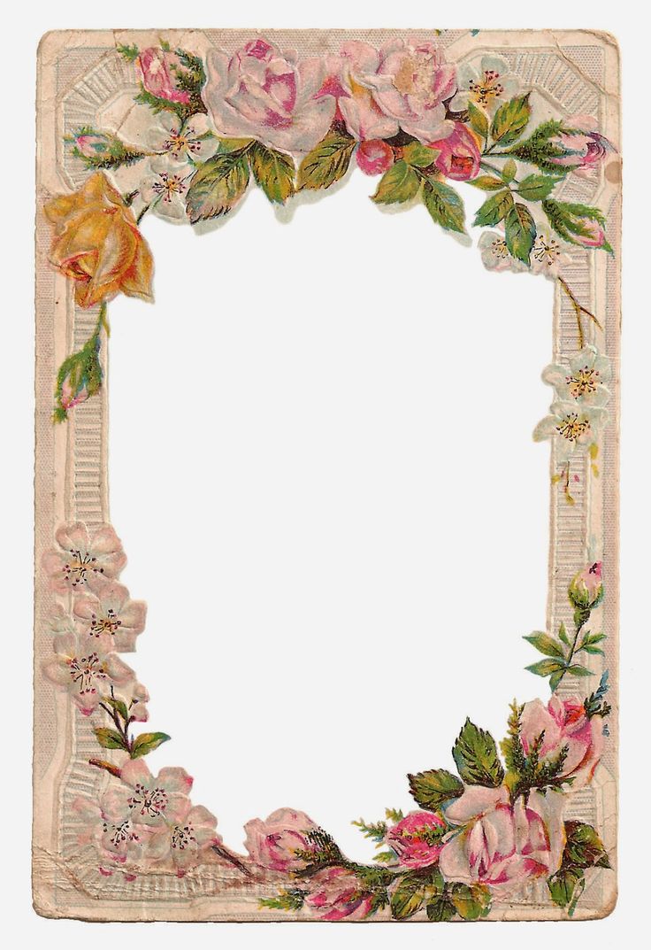 Detail Free Flower Frames Nomer 24