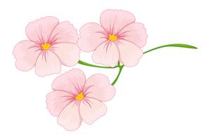 Detail Free Flowers Images Clipart Nomer 46