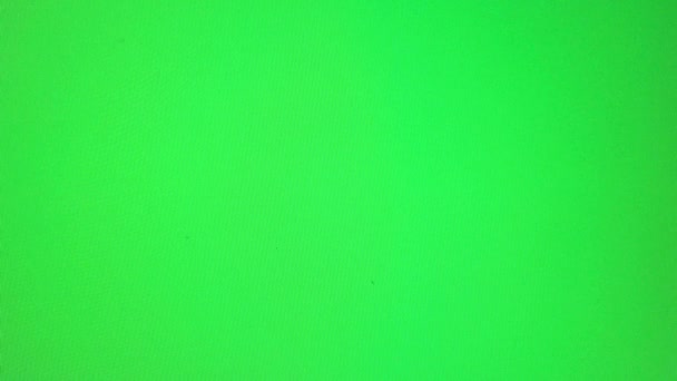Detail Free Footage For Green Screen Nomer 16