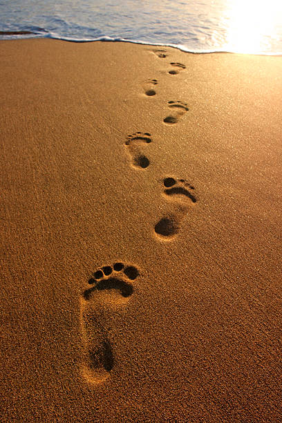Detail Free Footprints In The Sand Images Nomer 19