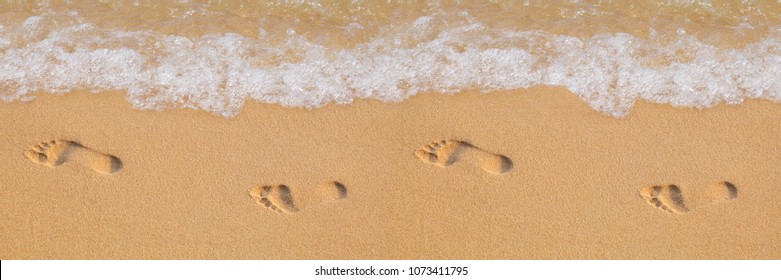 Detail Free Footprints In The Sand Images Nomer 32