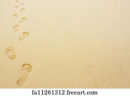 Detail Free Footprints In The Sand Images Nomer 37