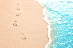 Detail Free Footprints In The Sand Images Nomer 49