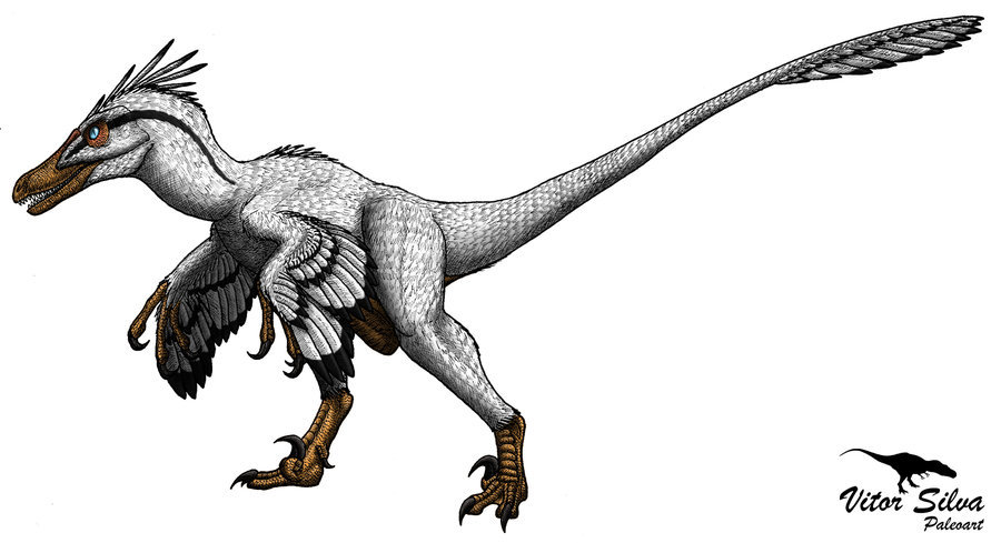 Detail Protoceratops Velociraptor Fossil Nomer 8