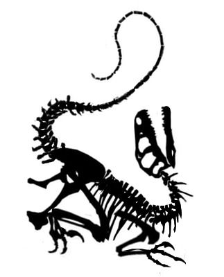Protoceratops Velociraptor Fossil - KibrisPDR