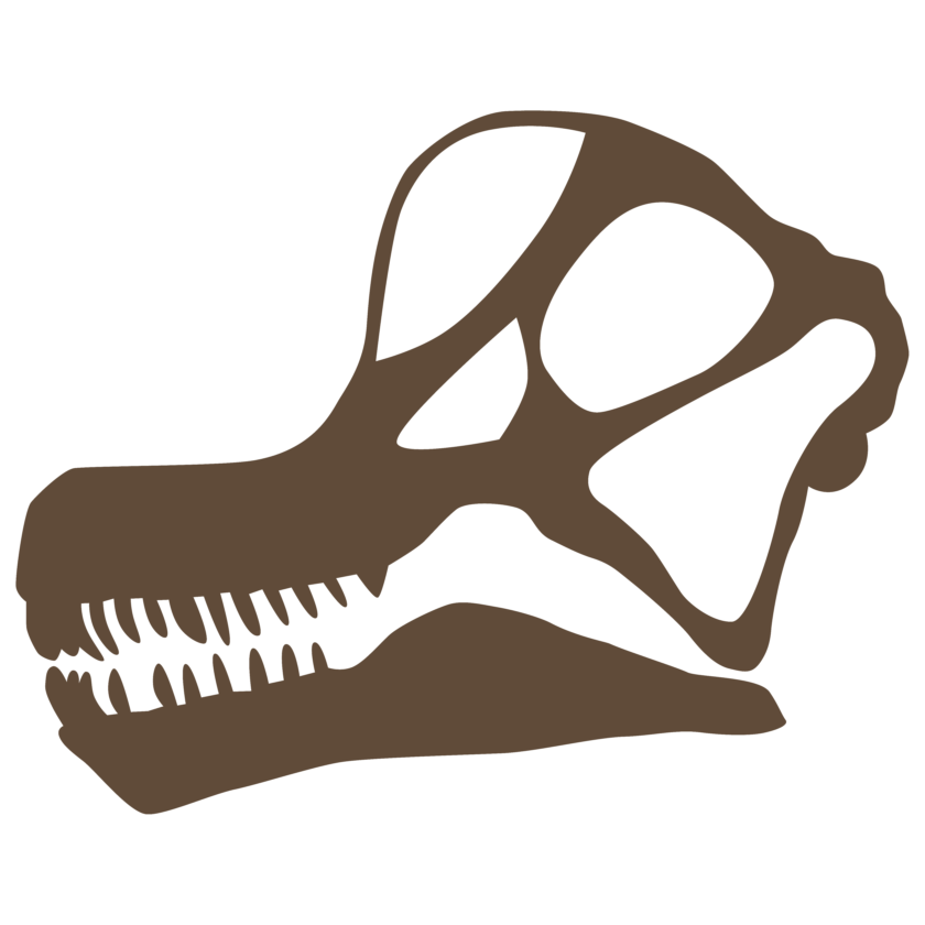 Detail Protoceratops Velociraptor Fossil Nomer 17
