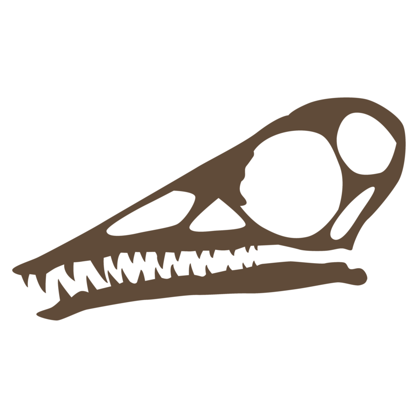 Detail Protoceratops Velociraptor Fossil Nomer 18