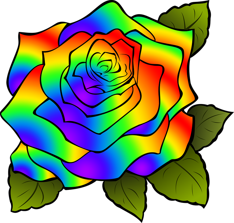 Detail Regenbogen Rosen Bilder Nomer 10