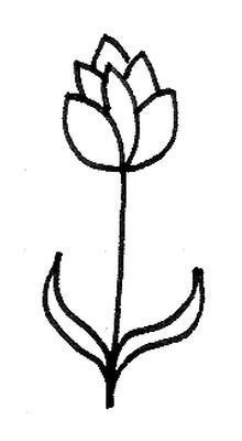 Detail Blumen Von Oben Zeichnen Nomer 13