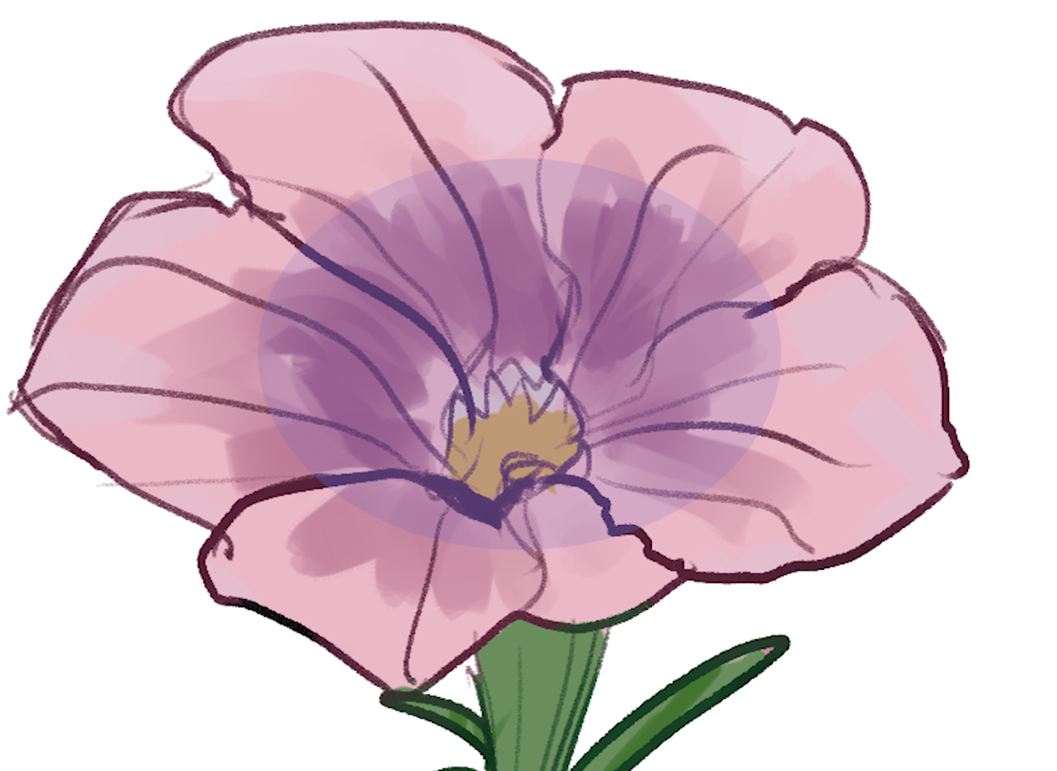 Detail Blumen Von Oben Zeichnen Nomer 16