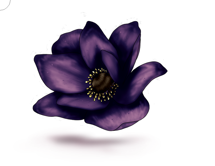 Detail Blumen Von Oben Zeichnen Nomer 18