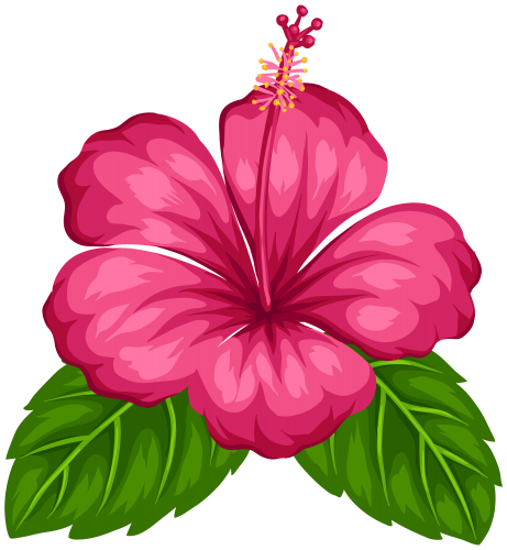 Detail Blumen Von Oben Zeichnen Nomer 21