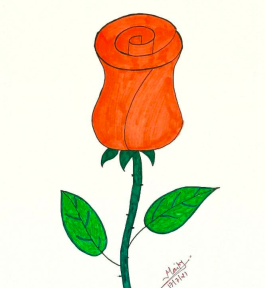 Detail Blumen Von Oben Zeichnen Nomer 22