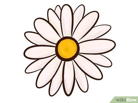 Detail Blumen Von Oben Zeichnen Nomer 28