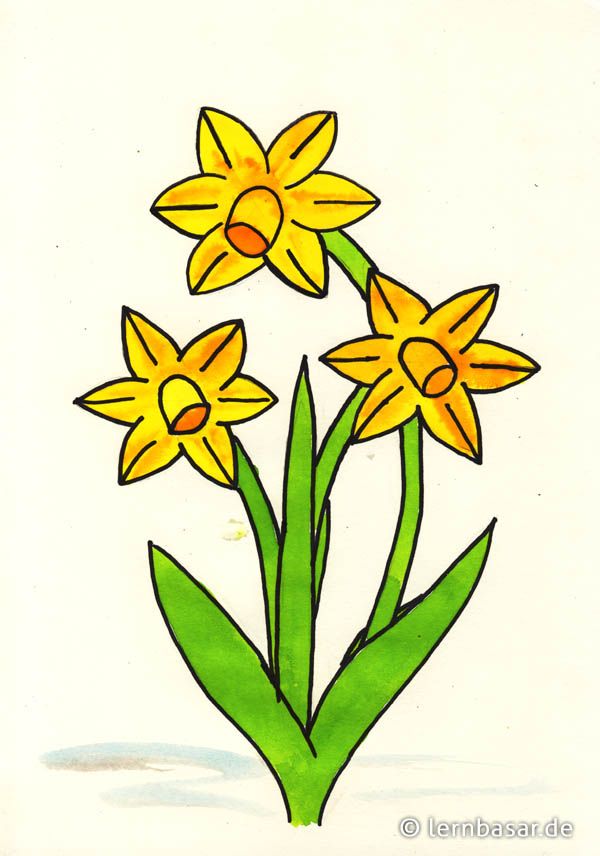 Detail Blumen Von Oben Zeichnen Nomer 4