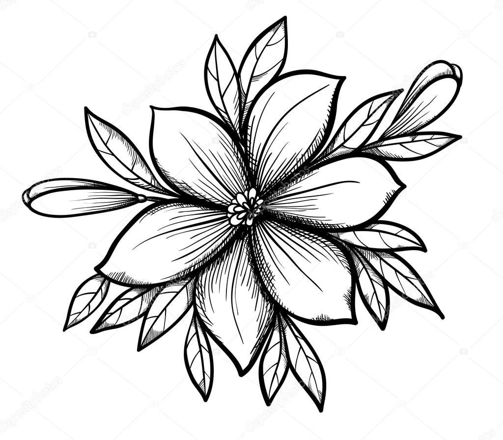 Detail Blumen Von Oben Zeichnen Nomer 6
