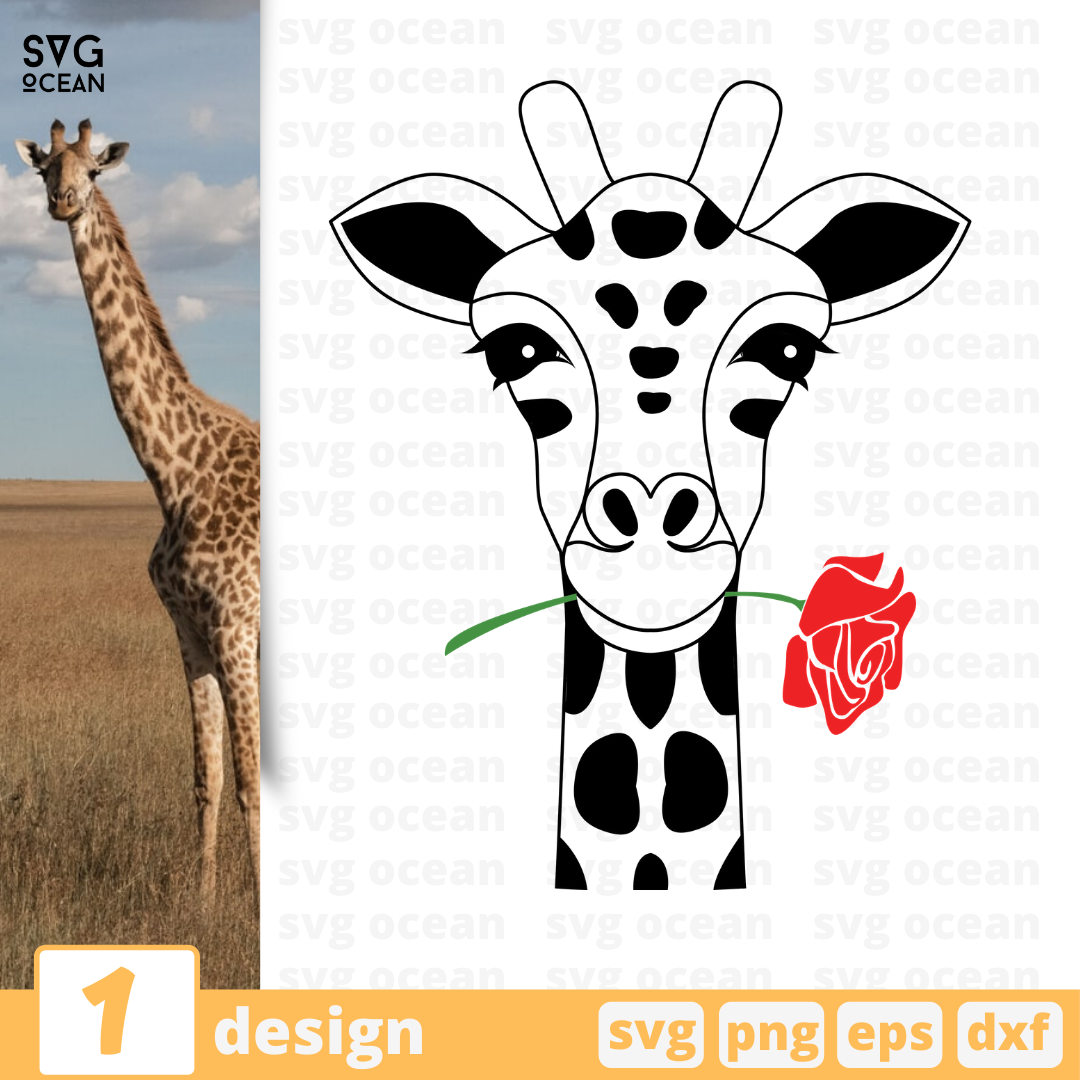 Detail Free Giraffe Picture Nomer 50