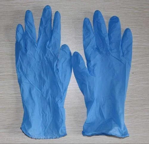 Detail Free Gloves For Caregivers Nomer 27