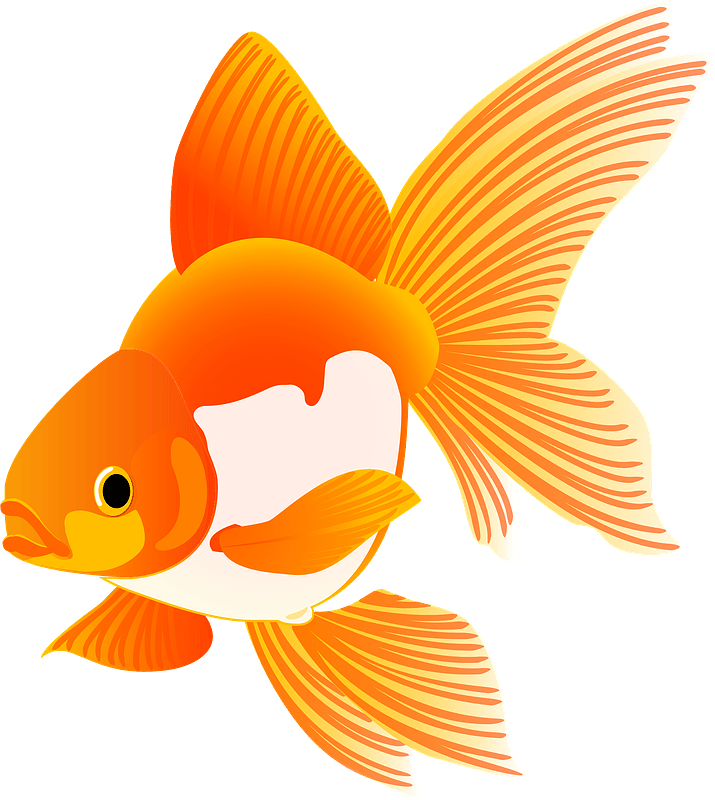 Detail Free Goldfish Clipart Nomer 8