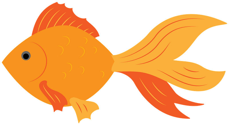 Detail Free Goldfish Clipart Nomer 10