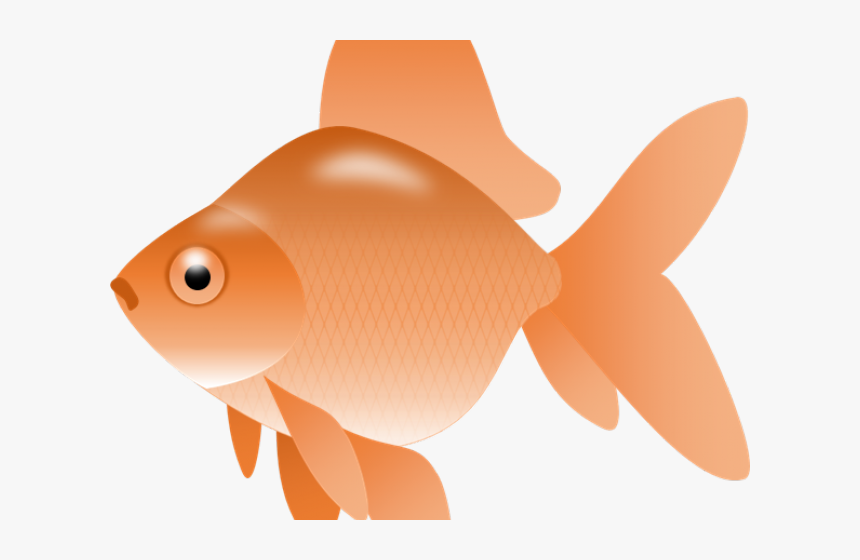 Detail Free Goldfish Clipart Nomer 29