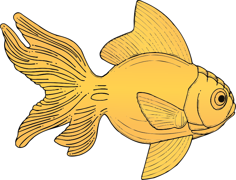 Detail Free Goldfish Clipart Nomer 33