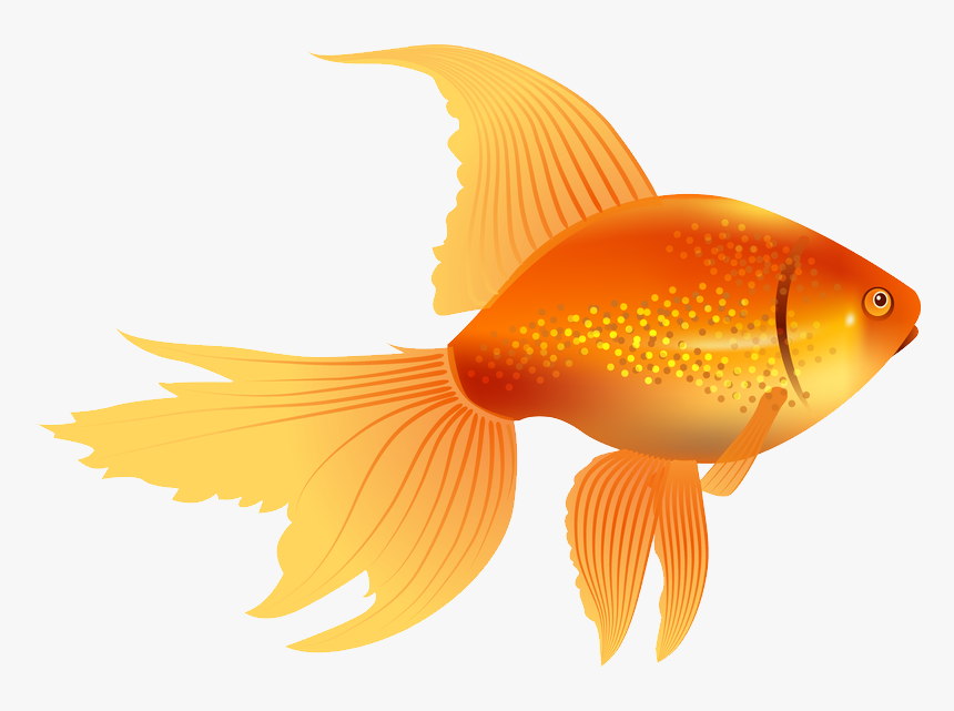 Detail Free Goldfish Clipart Nomer 5