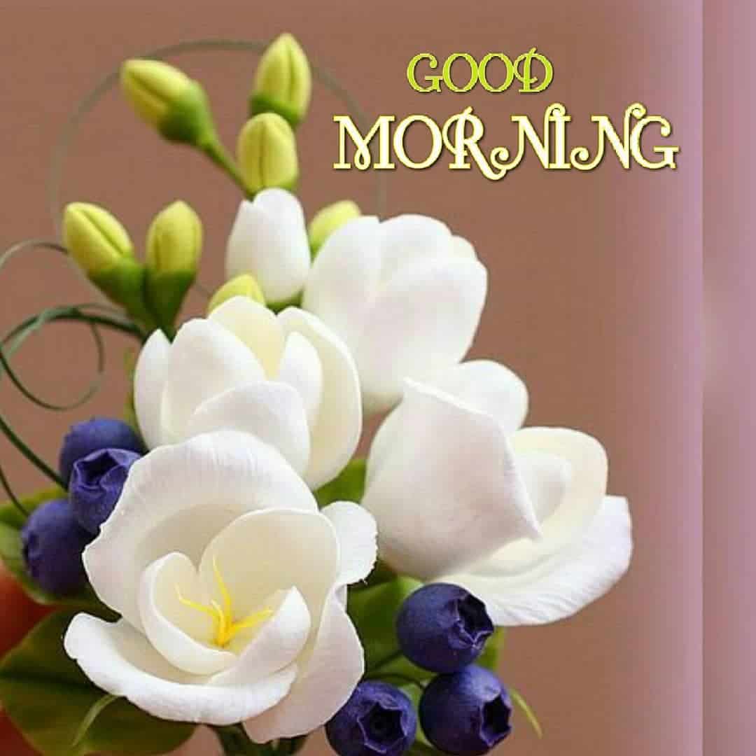 Detail Free Good Morning Greetings Download Nomer 29