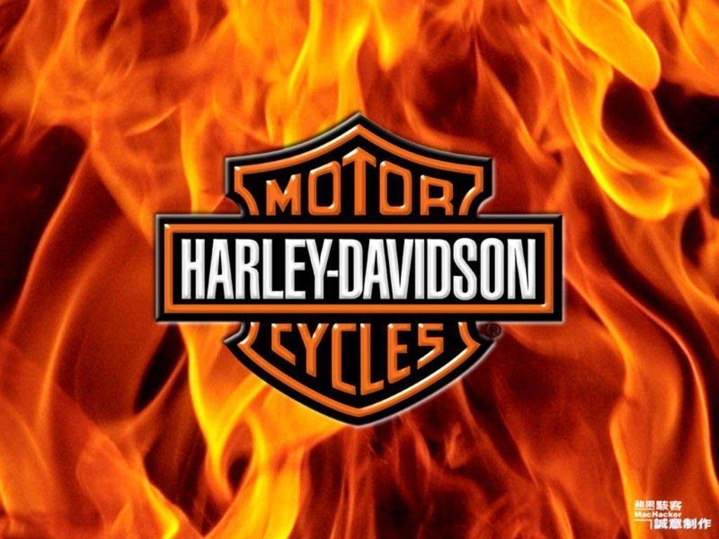 Detail Free Harley Davidson Nomer 18