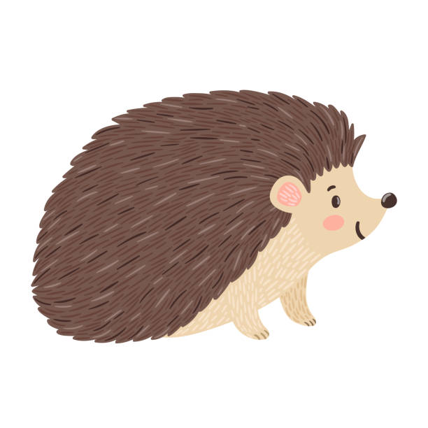 Detail Free Hedgehog Clipart Nomer 2