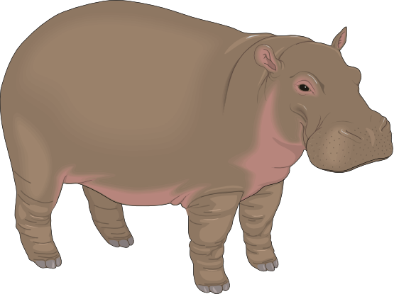 Detail Free Hippo Clipart Nomer 15