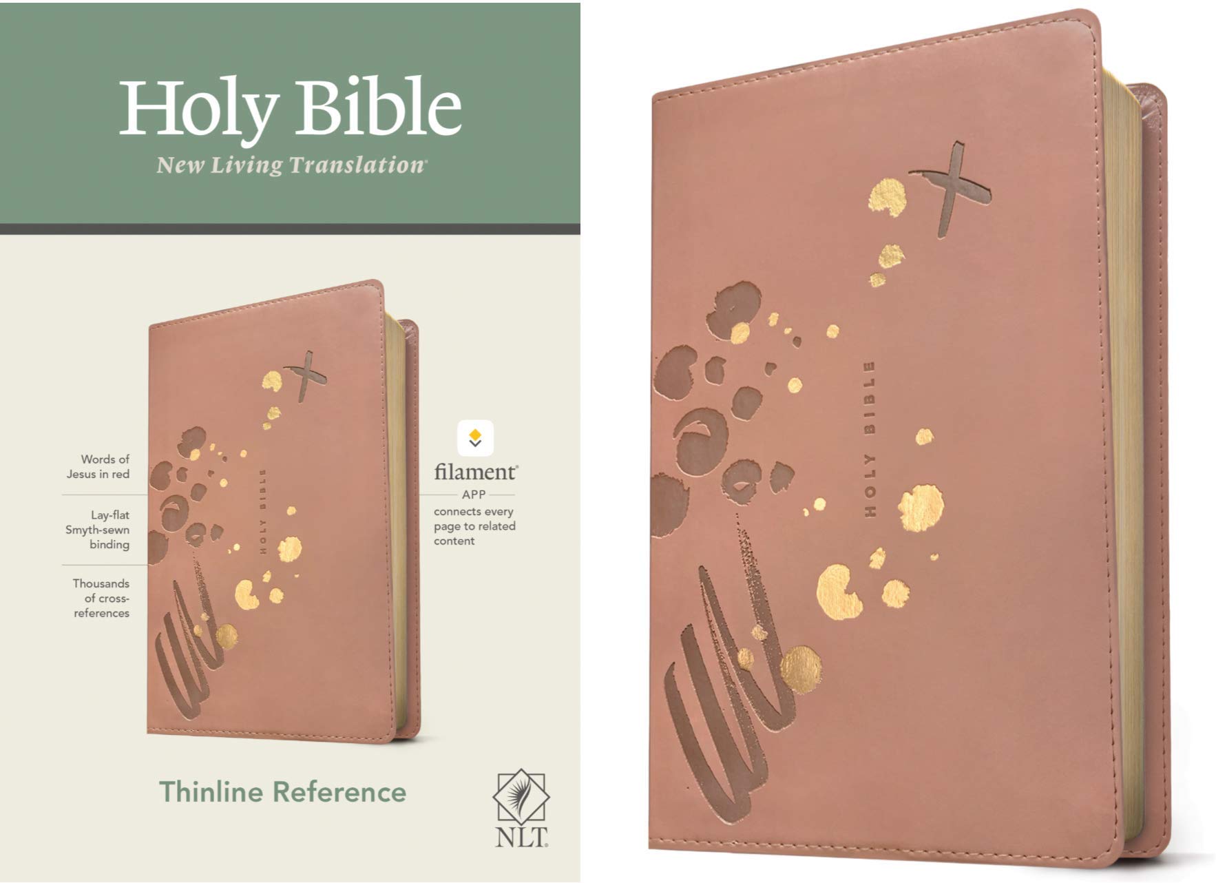 Detail Free Holy Bibles Nomer 21