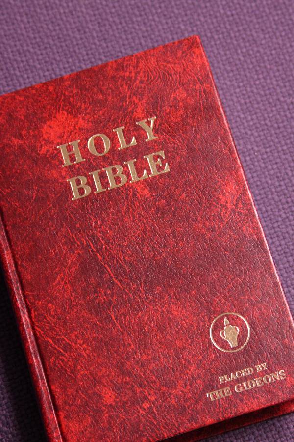 Detail Free Holy Bibles Nomer 8
