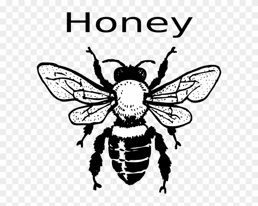 Detail Free Honey Bee Clipart Images Nomer 20