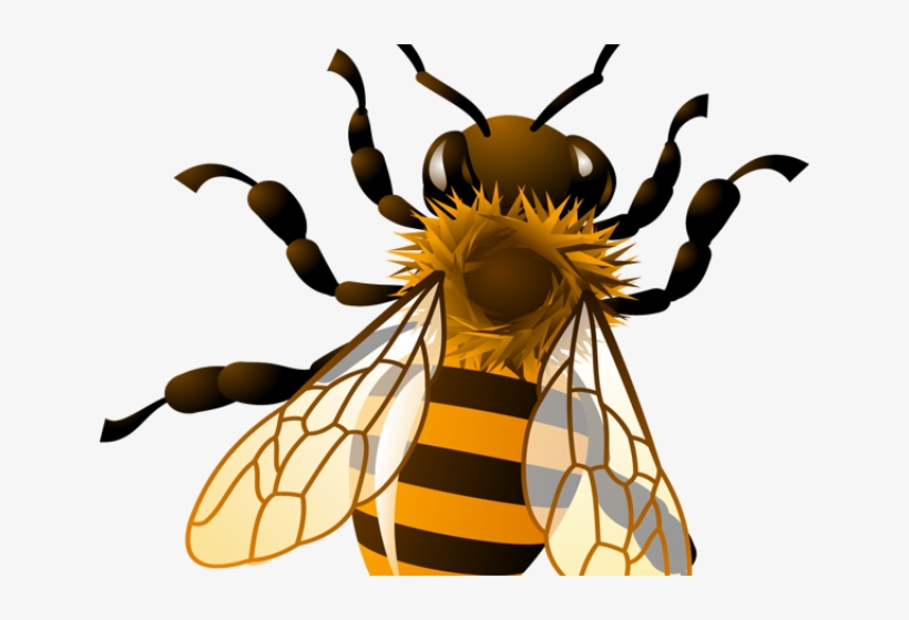 Detail Free Honey Bee Clipart Images Nomer 5