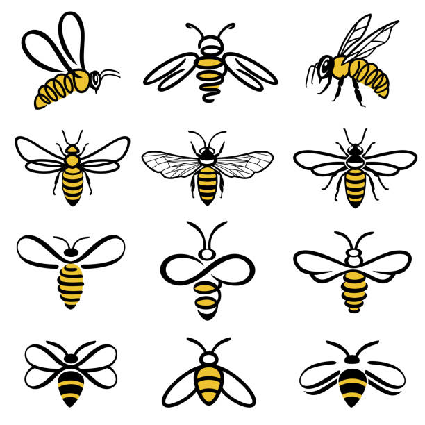 Detail Free Honey Bee Clipart Images Nomer 8