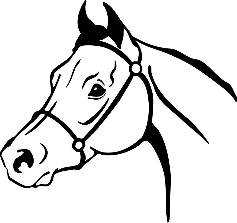 Detail Free Horse Clipart Images Nomer 35