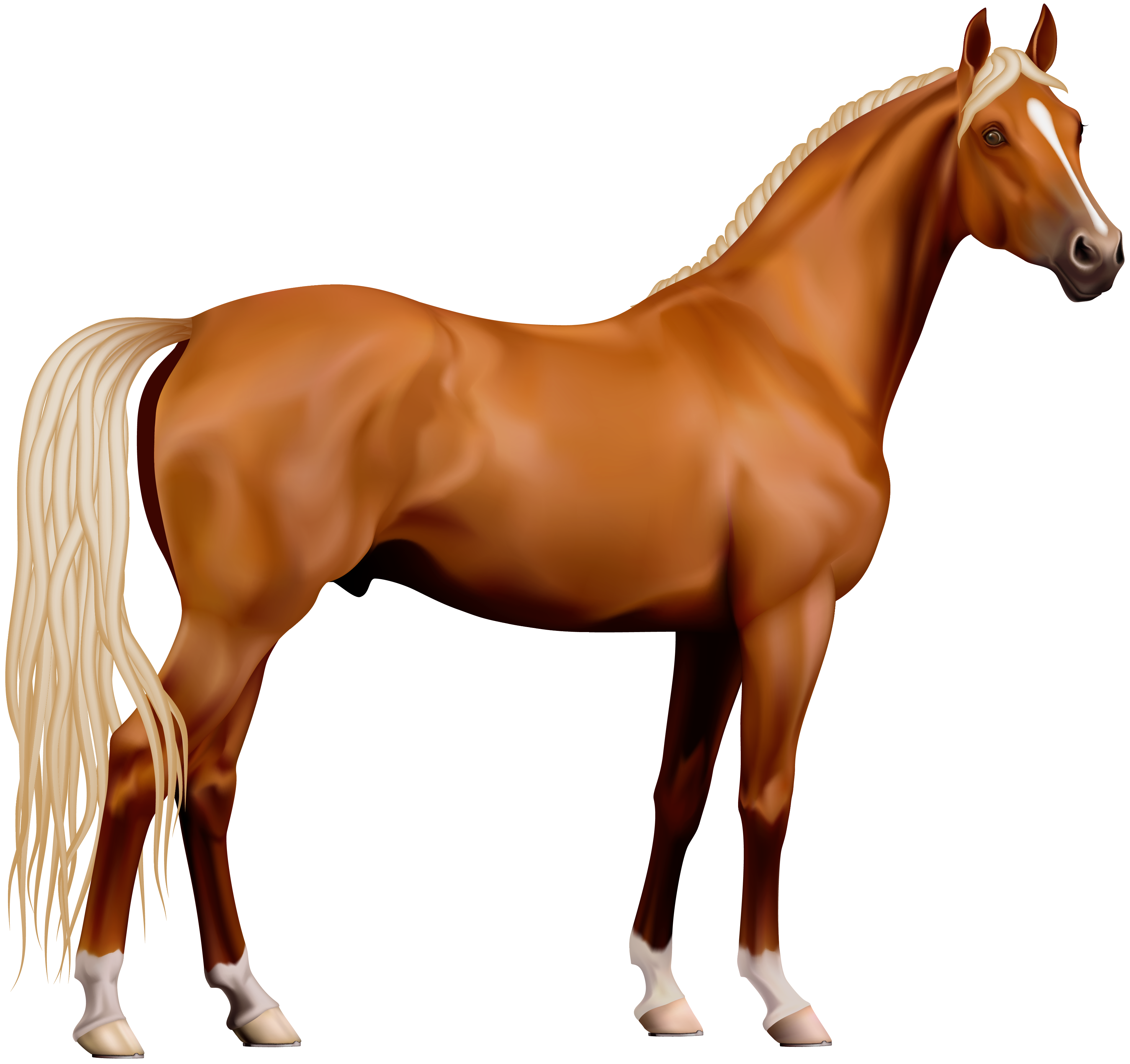 Detail Free Horse Clipart Images Nomer 39