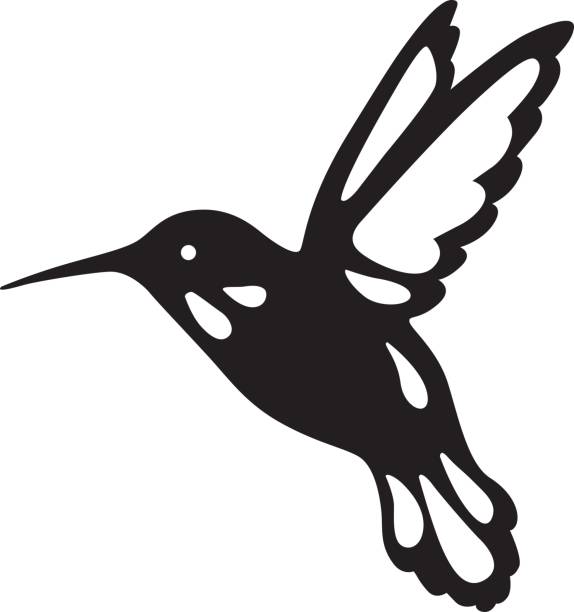 Free Hummingbird Silhouette Clip Art - KibrisPDR