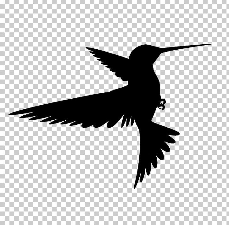 Detail Free Hummingbird Silhouette Clip Art Nomer 27