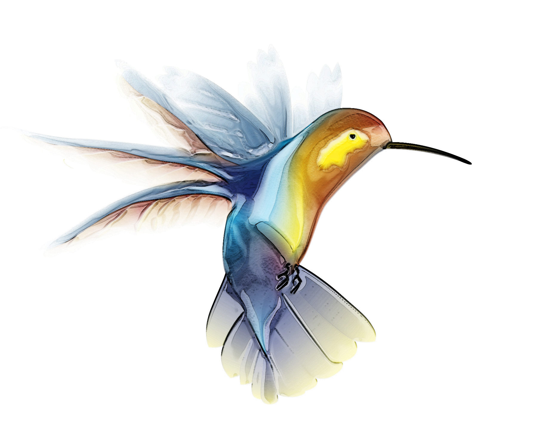 Detail Free Hummingbird Silhouette Clip Art Nomer 35