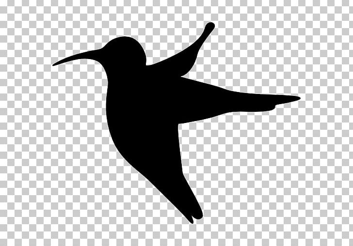 Detail Free Hummingbird Silhouette Clip Art Nomer 38