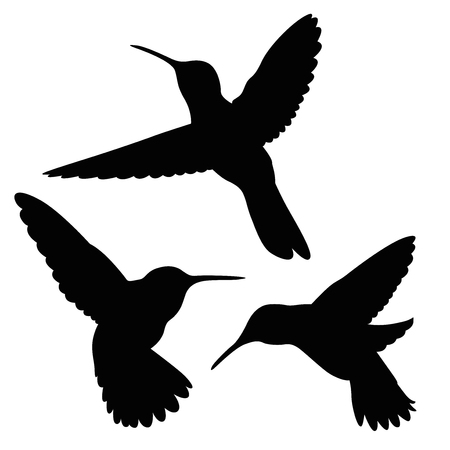 Detail Free Hummingbird Silhouette Clip Art Nomer 43