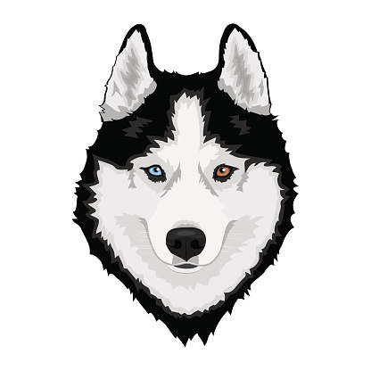 Detail Free Husky Clipart Nomer 15